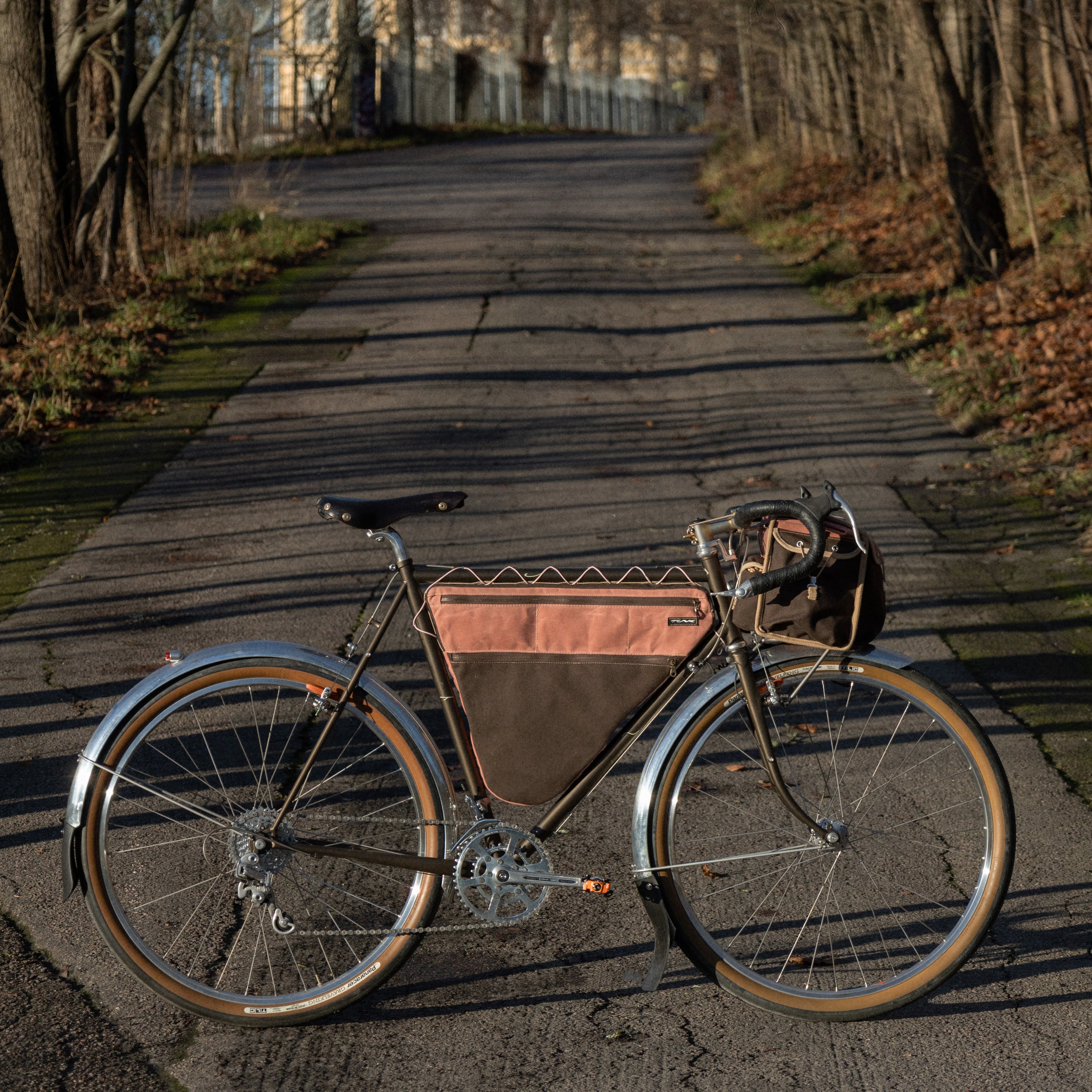 Custom built Hike-Use bicycle