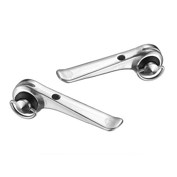Silver - Downtube Friction Shifters